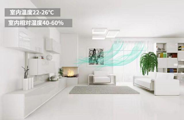 五恒系統的發展受哪些因素影響？